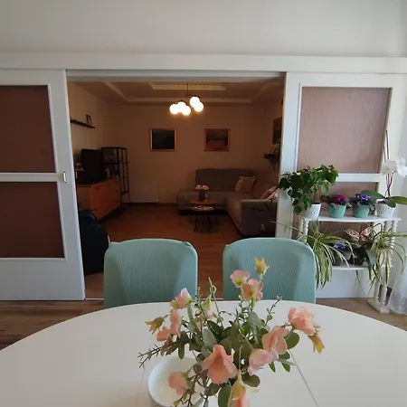 Apartment Maja *